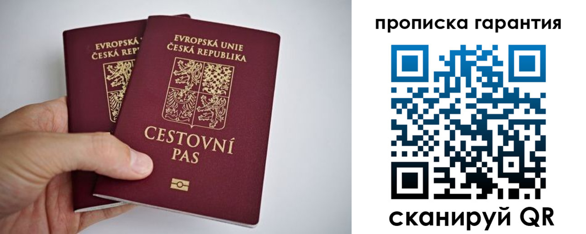 прописка в Белёве